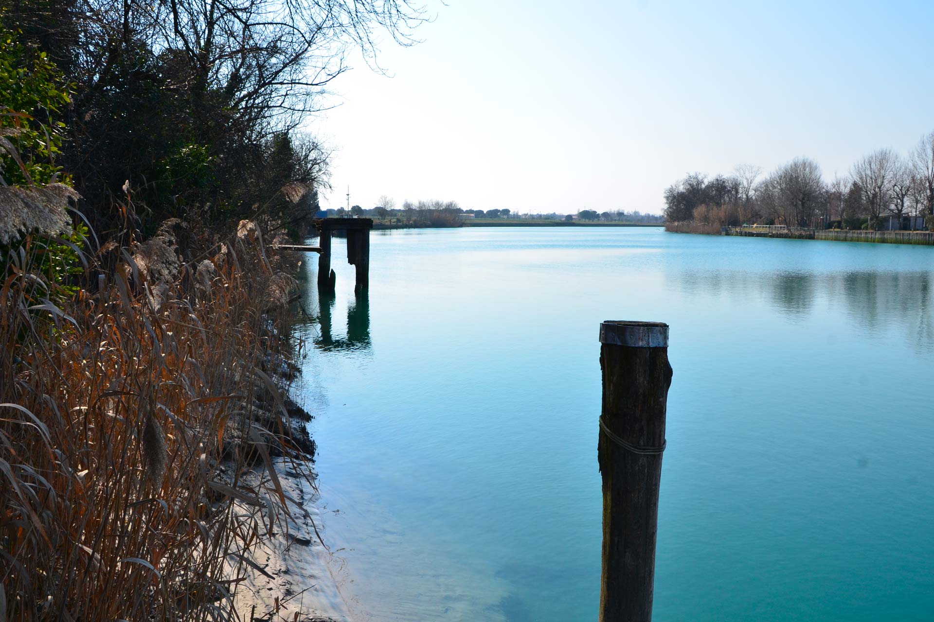 tagliamento